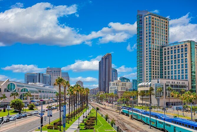 Arrival Private Transfer: San Diego Airport SAN to San Diego in Luxury SUV - Who Should Consider This Service?