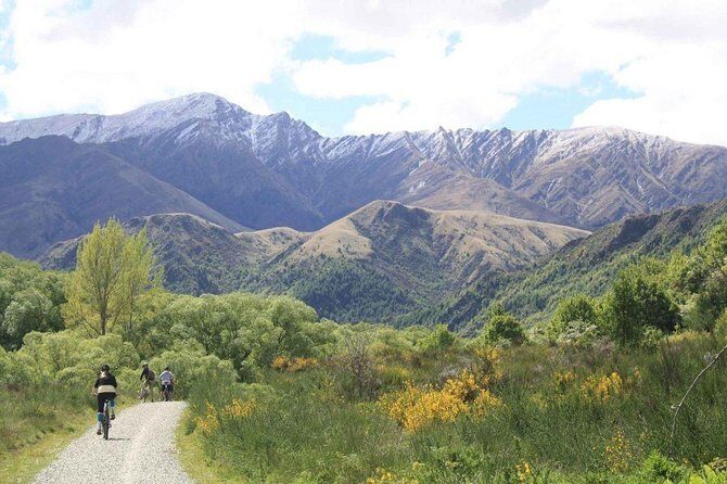 Arrowtown Mountain Bike Hire - The Sum Up