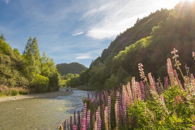 Arrowtown to Queenstown Bike Tour with Shuttle - The Sum Up