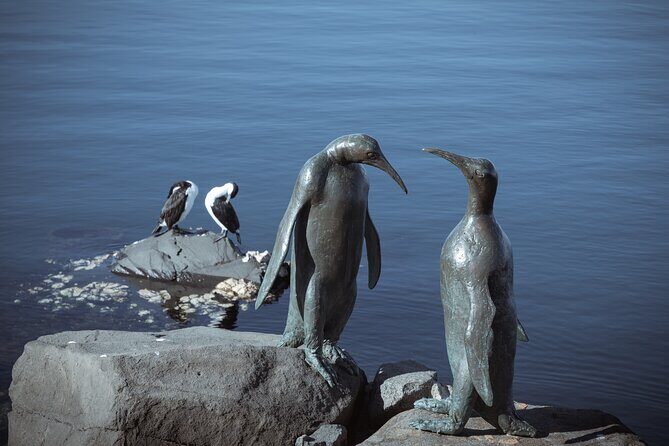 Art and History Trail Walking Tour in Tasmania - FAQs