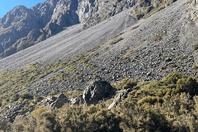 Arthur Pass & castle Hill Ultimate Day trip From Christchurch - Overview of What to Expect