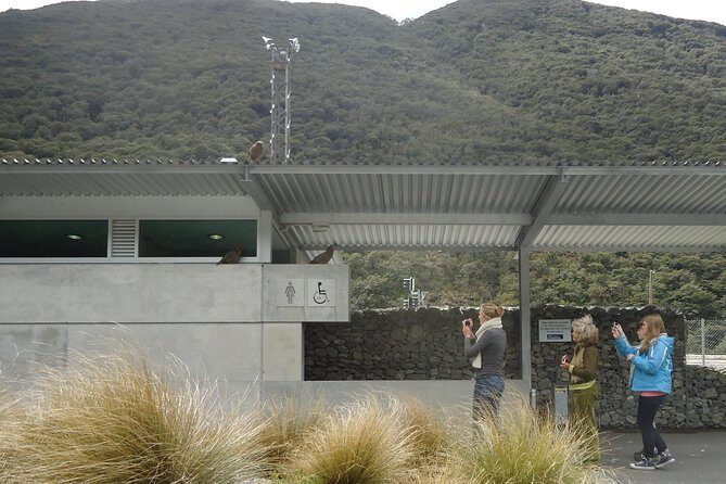 Arthurs Pass and Southern Alps Day Excursion from Port Lyttelton or Christchurch - Frequently Asked Questions (FAQs)