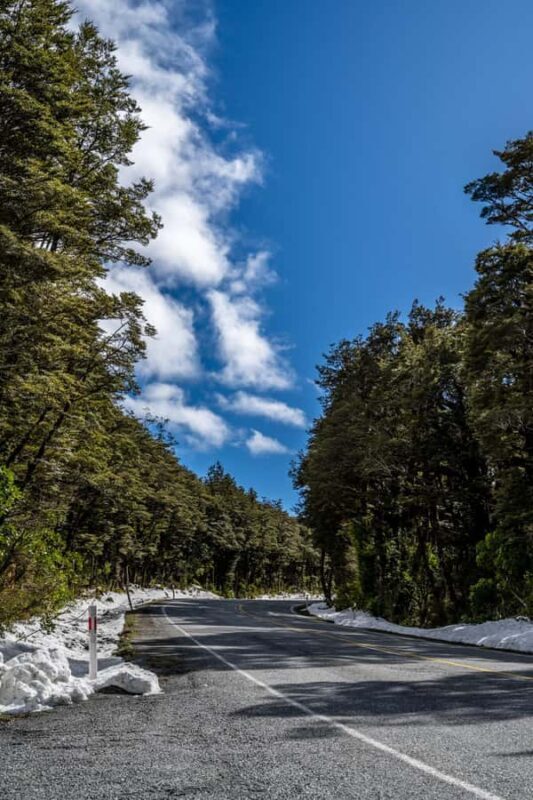 Arthurs Pass Day Tour From Christchurch via Castle Hill - The Experience in Depth: What You Can Expect