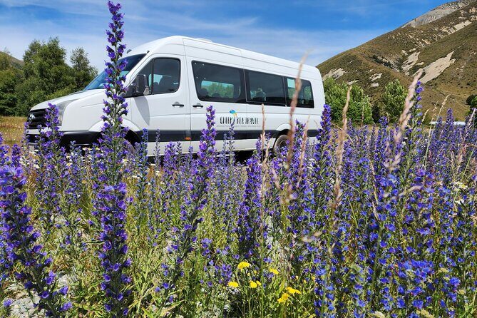 Arthurs Pass Day Tour From Christchurch With Jet Boat - Authentic Experiences and What to Expect