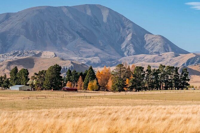 Arthurs Pass Private Day Trip from Christchurch with Castle Hill - Final Thoughts