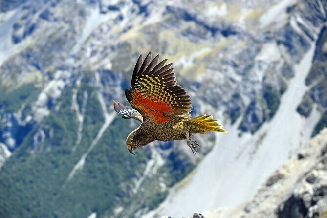 Arthurs Pass Private VIP Alpine Vista Day tour - FAQs