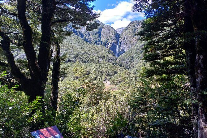 Arthurs Pass with Optional TranzAlpine Train (Private Tour) - An In-Depth Look at the Experience