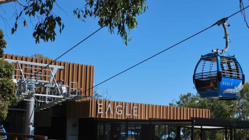 Arthurs Seat Eagle: Scenic Gondola Ride - Arthurs Seat Eagle: Scenic Gondola Ride