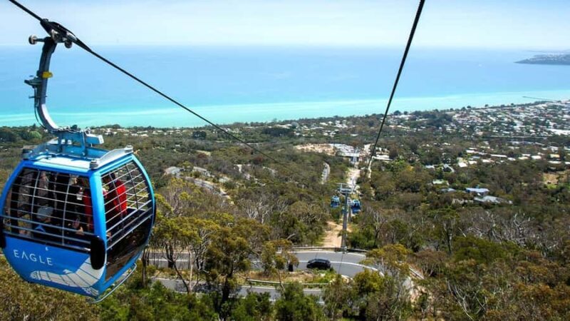 Arthurs Seat Eagle: Scenic Gondola Ride - What Makes the Arthurs Seat Eagle Special?