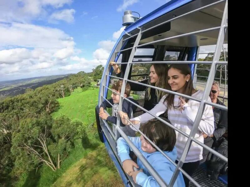 Arthurs Seat Eagle: Scenic Gondola Ride - The Summit: Nature and Relaxation