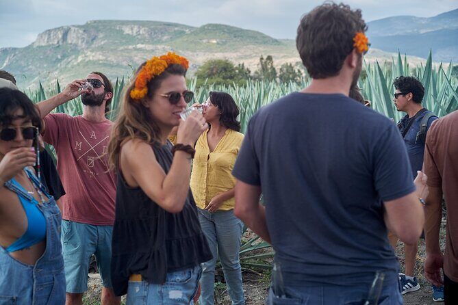 Artisanal Mezcal Culture Tour for Tasting and History - Discovering Santiago Matatlán: The Heart of Mezcal