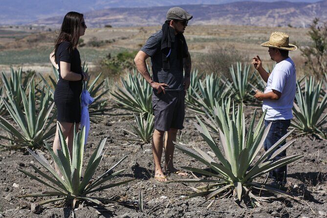 Artisanal Mezcal distillery in an authentic Zapotec village - Exploring the Tour Itinerary