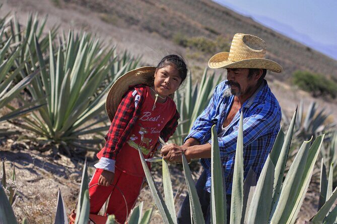 Artisanal Mezcal distillery in an authentic Zapotec village - Overall Impressions