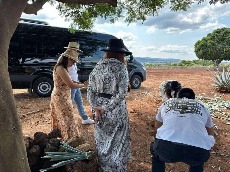 Artisanal Tequila Experience in Private Luxury SUV Local - Why This Tour Delivers Excellent Value