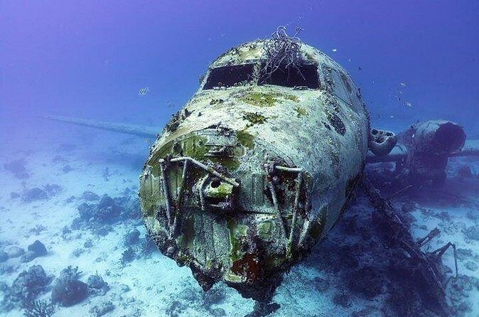 Aruba 1-Tank guided Dive for certified divers with rental equipment - FAQ