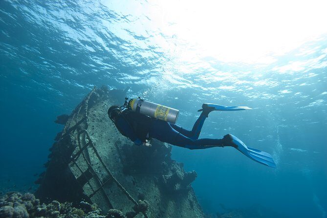 Aruba 2-Tank Dive Excursion for Certified Divers - Who Should Consider This Tour?