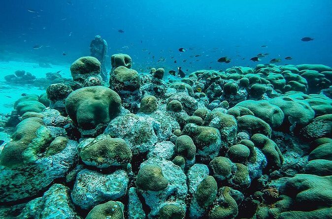 Aruba 2-Tank Dive Excursion for Certified Divers - Final Thoughts
