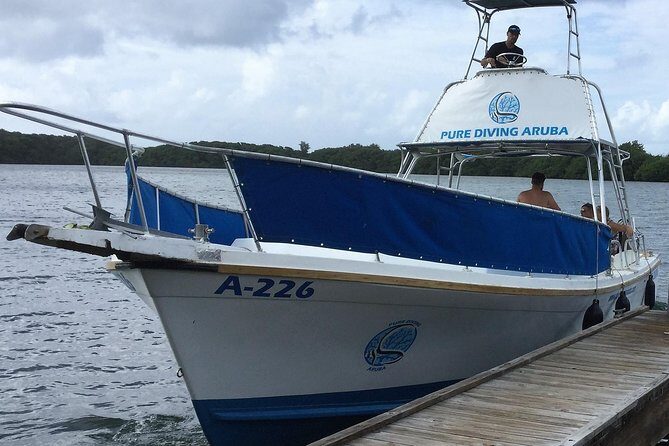 Aruba 2-Tank Guided Dive for Certified Divers / rental equipment - Authentic Insights from Diver Reviews