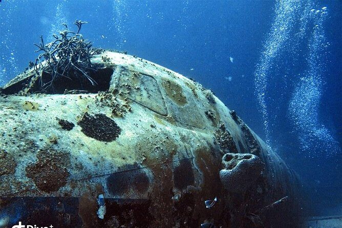 Aruba 2-Tank Guided Dive for Certified Divers / rental equipment - Why This Tour Offers Great Value