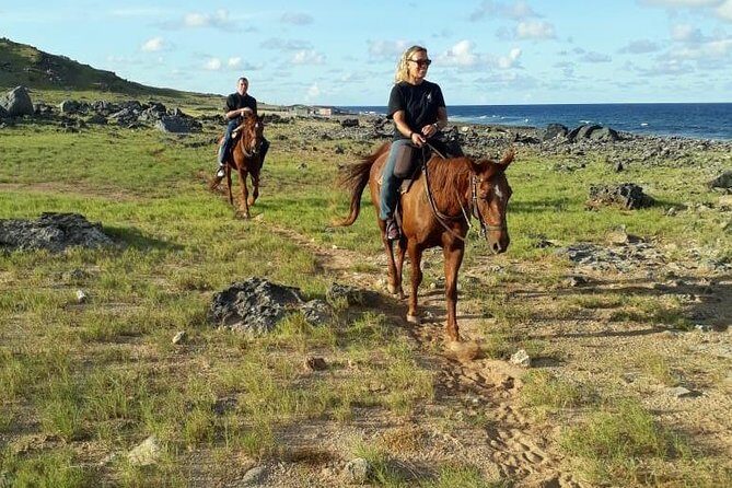 Aruba 2,5 hrs Horseback Riding For Advanced Riders - A Genuine Ride through Aruba’s Untouched Countryside