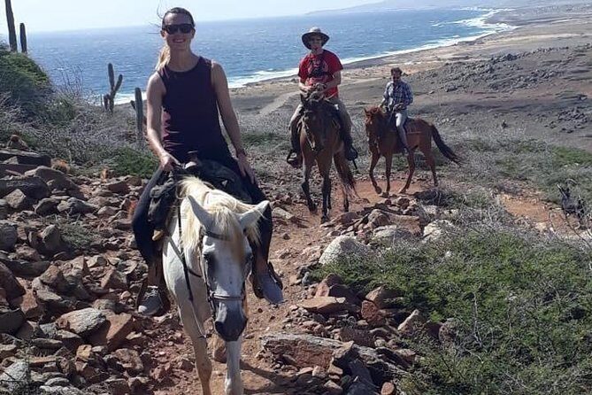 Aruba 2,5 hrs Horseback Riding For Advanced Riders - Who Will Love This Tour?