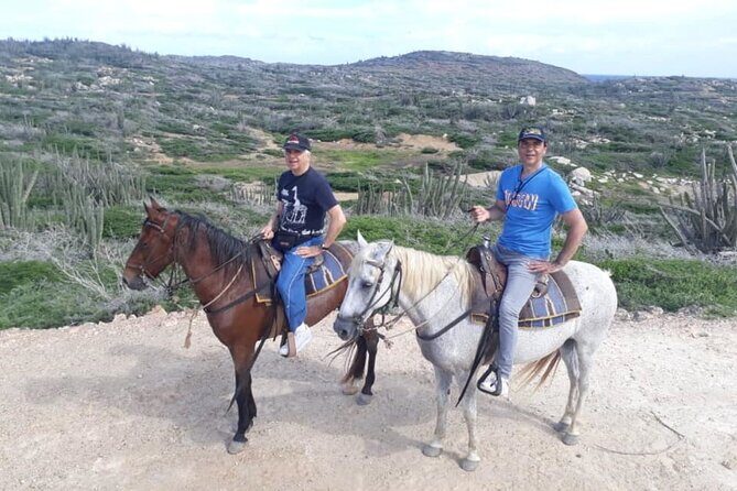 Aruba 2,5 hrs Horseback Riding For Advanced Riders - FAQ