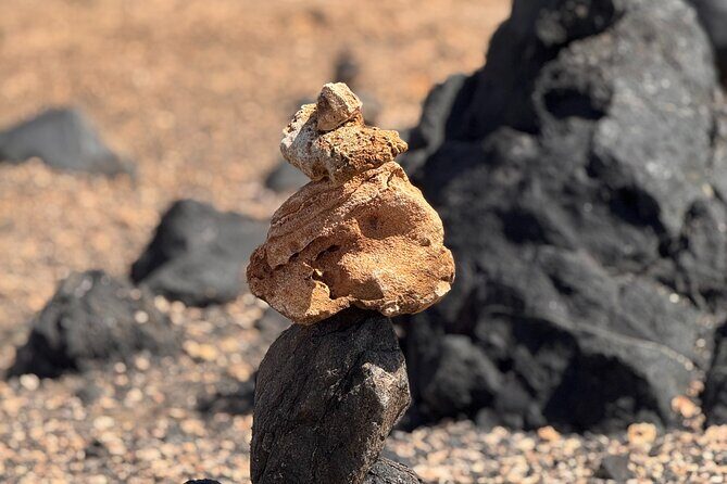 Aruba 6 Hours Private Island Tour - How Does It Compare to Other Tours?
