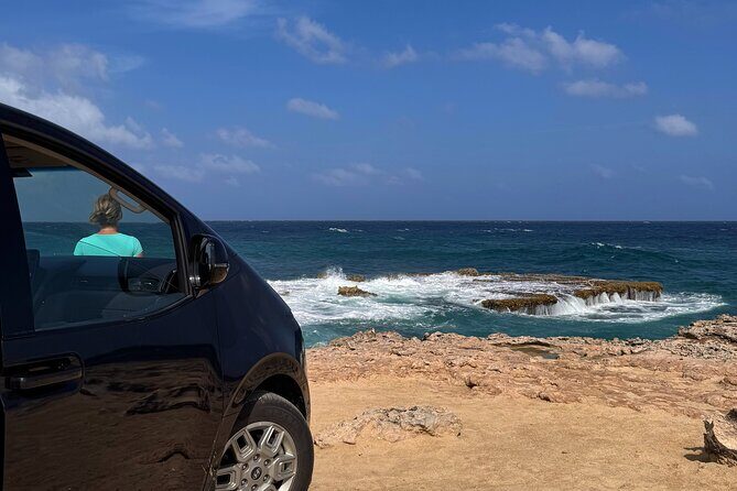 Aruba 6 Hours Private Island Tour - FAQ