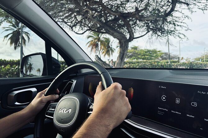 Aruba Airport Private Transfer: Start Your Vacation Stress-Free - The Itinerary and Service Flow