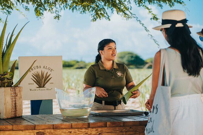 Aruba Baby Beach Express Tour - Introduction