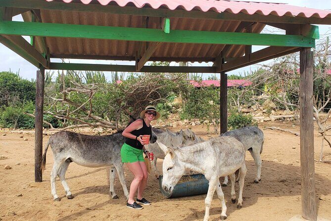 Aruba Baby Beach Express Tour - FAQ