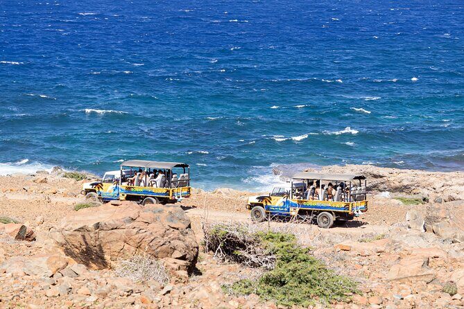 Aruba Cave Pool and Secret Beach Safari Tour - What’s Included and What to Expect