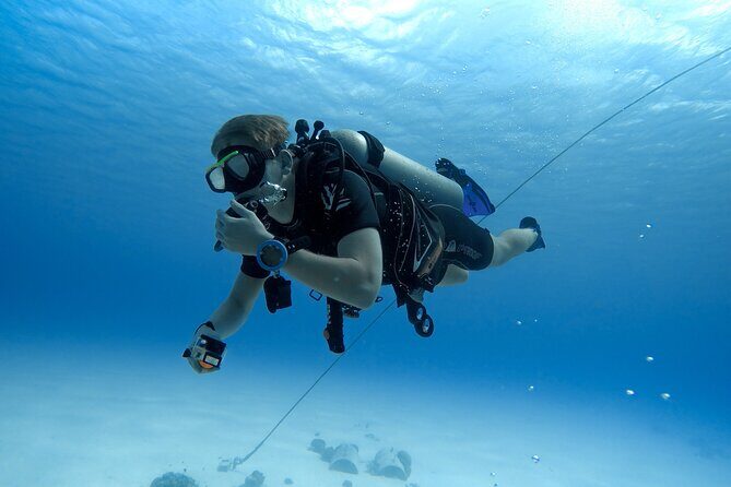 Aruba Certified Scuba Diving - A Closer Look at the Aruba Certified Scuba Diving Tour