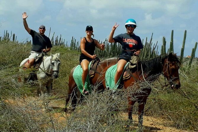 Aruba Countryside: Horseback Adventure to Urirama Cove - A Thorough Look at the Experience