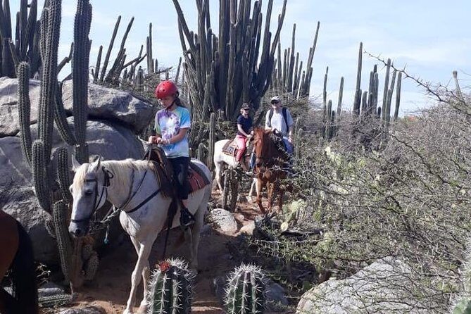 Aruba Countryside: Horseback Adventure to Urirama Cove - FAQ
