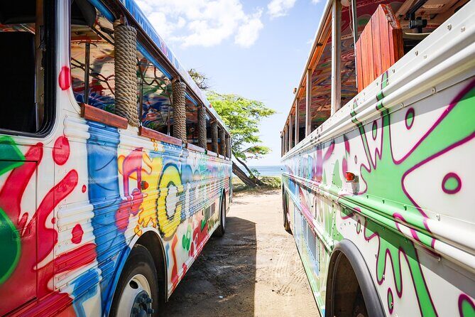 Aruba Create Your Own Island Tour - The City and Local Culture