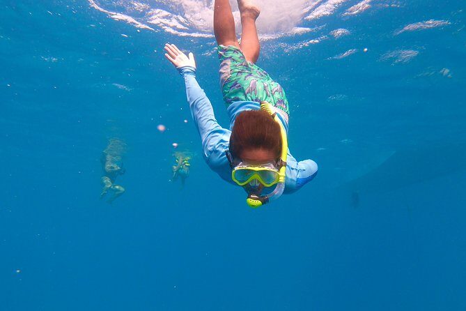 Aruba Element Private Boat Charter (After-Lounge) - The Sum Up