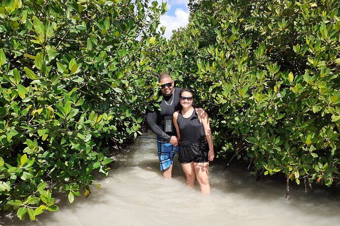 Aruba Glass Bottom Kayak Tour through the Mangrove Forest - Authentic Reviews & Perspectives