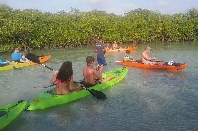 Aruba Glass Bottom Kayak Tour through the Mangrove Forest - Who Is This Tour For?