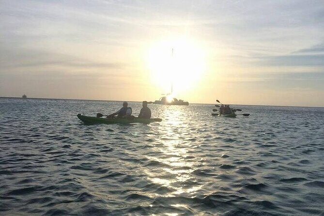 Aruba Glass Bottom Kayak Tour through the Mangrove Forest - FAQs