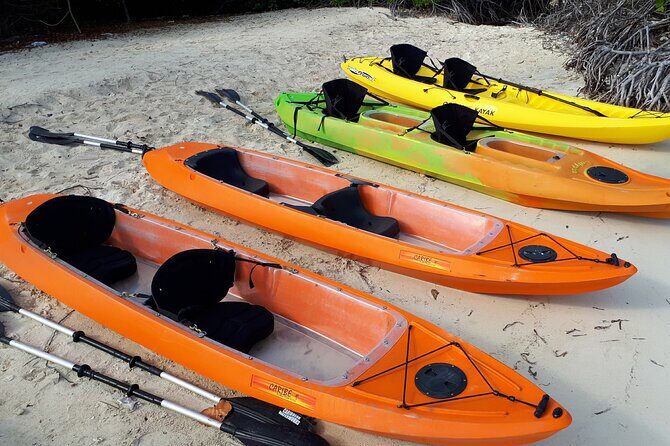 Aruba Glass Bottom Kayak Tour through the Mangrove Forest - Final Thoughts