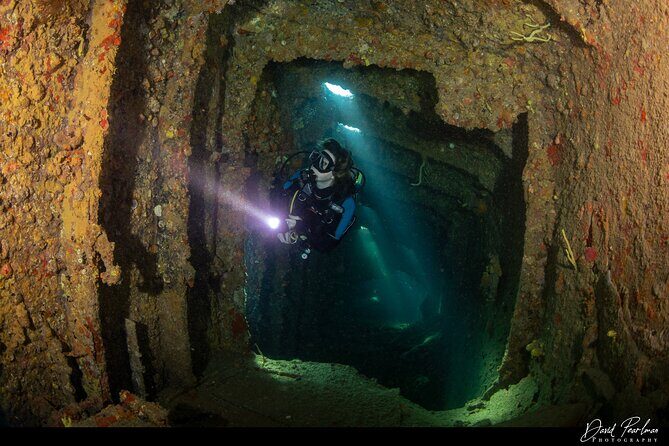 Aruba Guided Night Dive Adventure: Shallow Reefs or Shipwrecks - Who Should Consider This Tour?