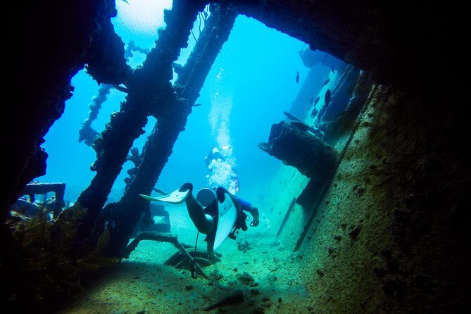 Aruba Guided Night Dive Adventure: Shallow Reefs or Shipwrecks - Frequently Asked Questions