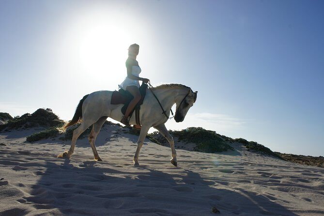 Aruba Horseback Riding Tour For Advanced Riders - Frequently Asked Questions