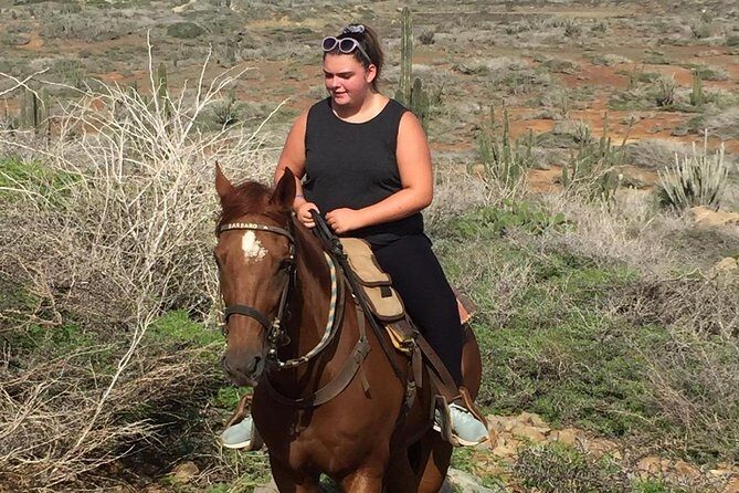 Aruba Horseback Riding Tour For Advanced Riders - Final Word
