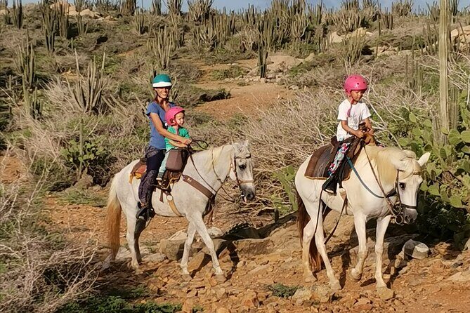 Aruba Horseback Riding Tour to Alto Vista Chapel - Analyzing the Cost and Value