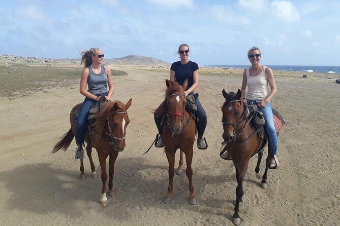 Aruba Horseback Riding Tour to Alto Vista Chapel - Who Should Book This Tour