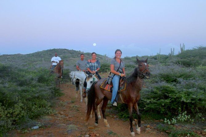 Aruba Horseback Riding Tour to Hidden Lagoon - Key Points