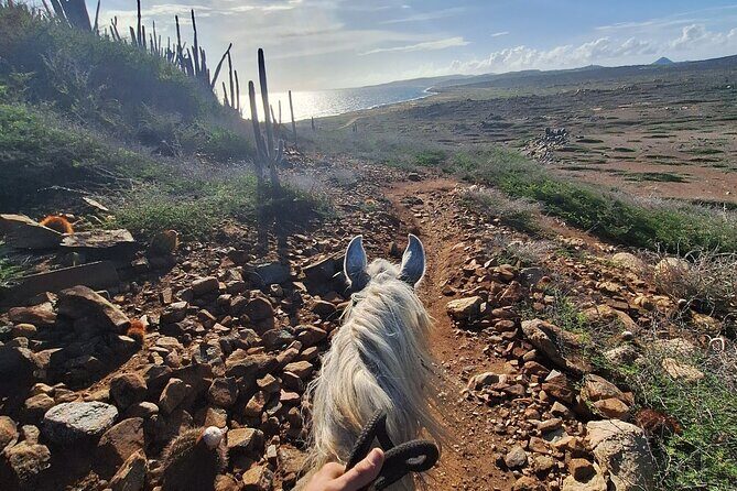 Aruba Horseback Riding Tour to Hidden Lagoon - The Experience in Detail
