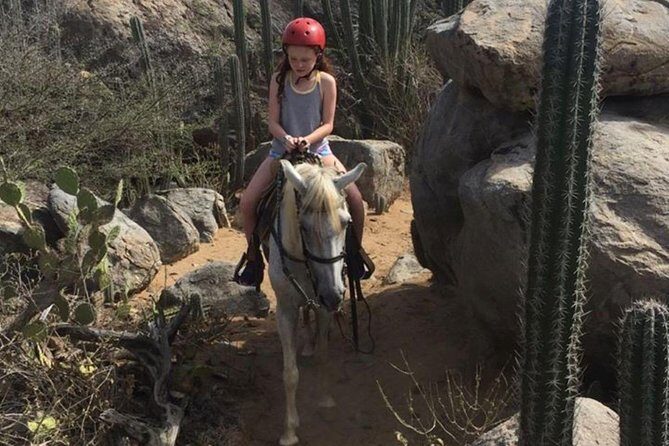 Aruba Horseback Riding Tour to Hidden Lagoon - Who Should Consider This Tour?